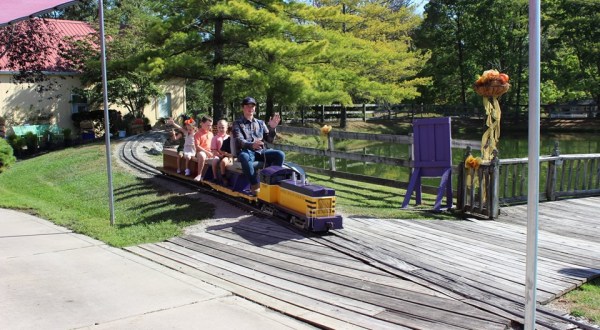 Take A Ride On The Mini Pumpkin Patch Train At Grandma’s Gardens Near Cincinnati