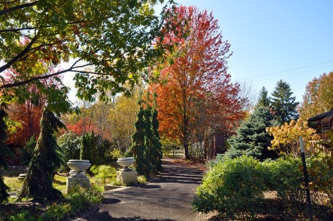 Enjoy A Colorful Autumn Walk Through Reiman Gardens In Iowa This Season