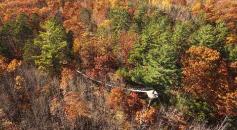 The Biggest And Best Zip Line Course In The Midwest, Wisconsin's Northwoods Zip Line, Is A Great Way To See The Colors Of Fall