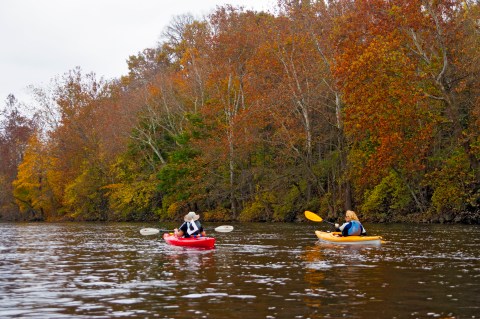 Paddle Down The Etowah River During Georgia's Fall Foliage Season For A Natural Experience Like No Other