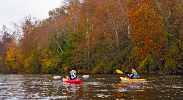Paddle Down The Etowah River During Georgia’s Fall Foliage Season For A Natural Experience Like No Other