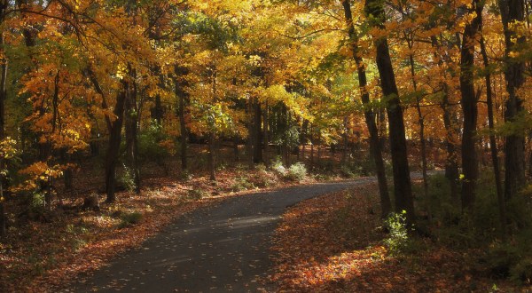 Enjoy Stunning Fall Foliage With One Of These 5 Autumn Hikes Near Nashville