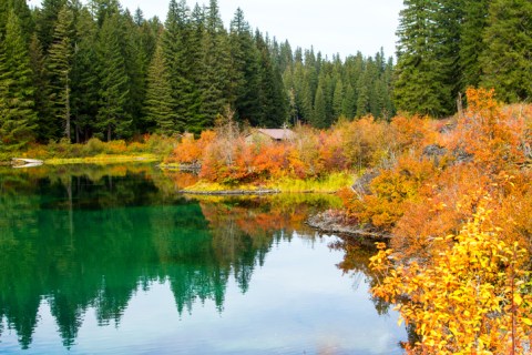 For Some Of The Most Spectacular Fall Foliage In Oregon, Hike The Clear Lake Trail This Season