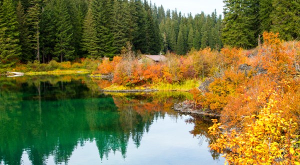 For Some Of The Most Spectacular Fall Foliage In Oregon, Hike The Clear Lake Trail This Season