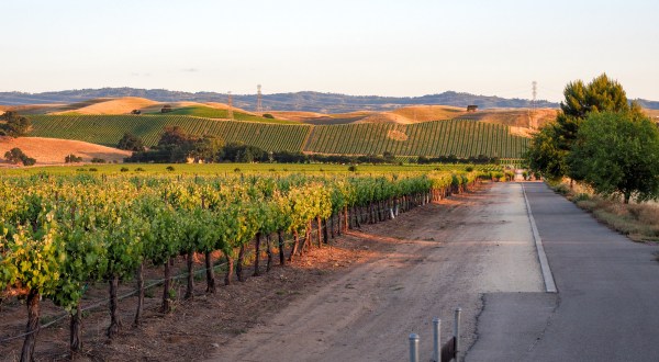 The Livermore Valley Is A Picturesque, Underrated Wine Destination In Northern California