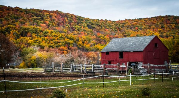 Kent Is One Of Connecticut’s Most Picturesque Small Towns To Visit Each Autumn
