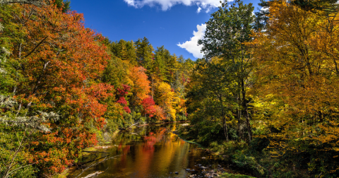 The Linville Falls In North Carolina Will Soon Be Surrounded By Beautiful Fall Colors