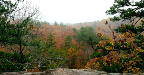 Take A 1-Hour Drive Through Missouri To See This Year's Beautiful Fall Colors