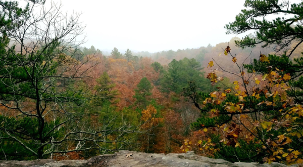 Take A 1-Hour Drive Through Missouri To See This Year’s Beautiful Fall Colors