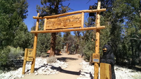 The Big Bear Discovery Center Nature Trail In Southern California Is So Easy Even The Kids Can Hike It