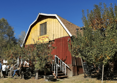 Pick Your Own Apples At Riley's, A Charming Farm Hiding In Southern California