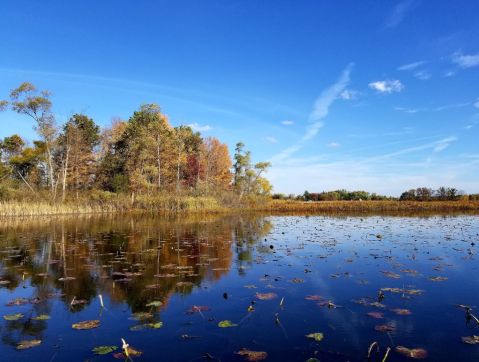 Visit Pontiac Lake In Michigan For An Absolutely Beautiful View Of The Fall Colors