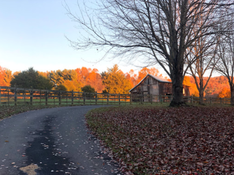 Plan A Memorable Autumn Camping Trip At Stokesville Campground In Virginia