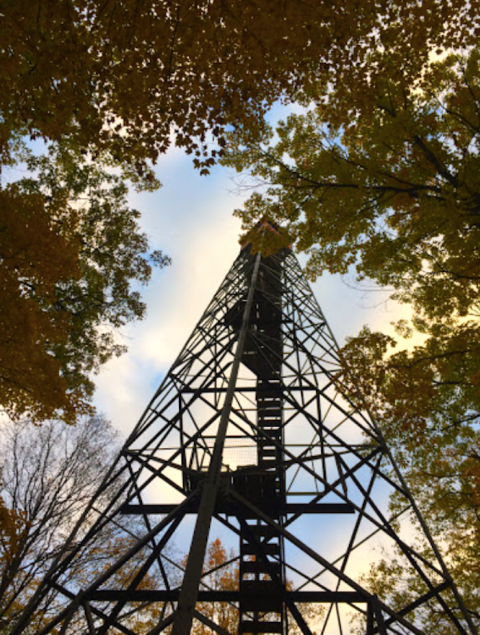 Climb The Observation Tower At Minnesota's Mille Lacs Kathio State Park For An Aerial View Of Fall Color