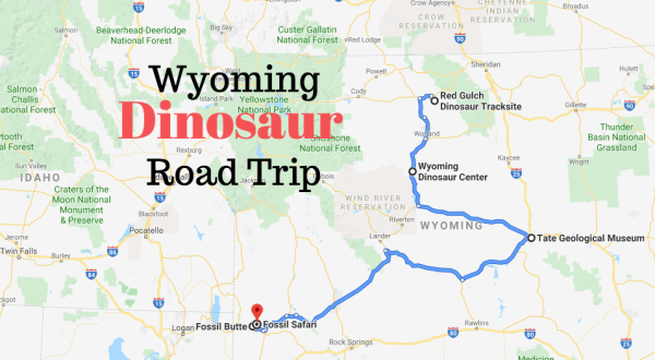 Take This Prehistoric Road Trip To See These 5 Dino-Mite Sites Across Wyoming
