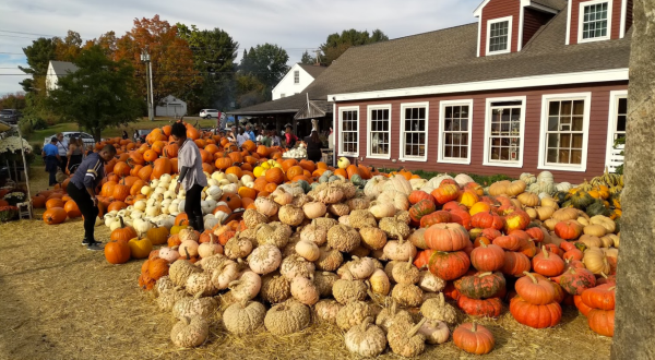 The 7 Best Places In New Hampshire To Get Your Apple Cider Donut Fix This Fall