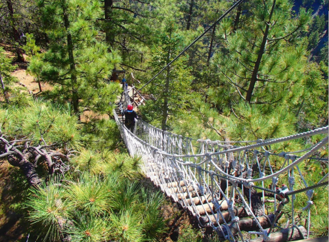 The Treetop Trail At Ziplines At Pacific Crest That Will Show You A New Side Of Southern California