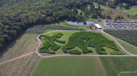 Get Lost In This Awesome 4-Acre Corn Maze In Maine This Autumn