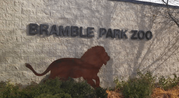 Play With Lemurs At Bramble Park Zoo In South Dakota For An Adorable Adventure