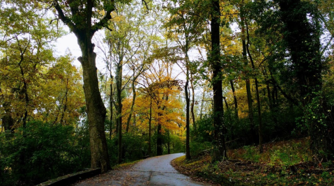 Percy Warner Park Is The Most Peaceful Place To Experience Fall Foliage In Nashville