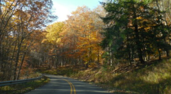 Take A 2-Hour Drive Through Pennsylvania To See This Year’s Beautiful Fall Colors