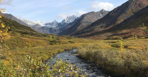 Watch The Mountains Turn Red In Alaska On The Gold Mint Trail In Hatcher Pass