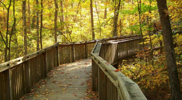 Take A Hike On The Talmadge Butler Boardwalk Trail To Experience Alabama’s Beautiful Fall Colors