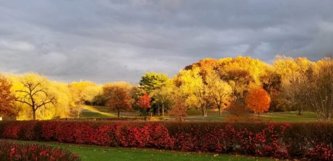 Explore Wyandotte County Park For A Fantastic Hike That Will Take You To Striking Fall Foliage In Kansas