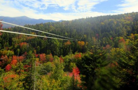 The Bretton Woods Canopy Tour In New Hampshire Is A Great Way To See The Fall Colors