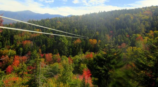 The Bretton Woods Canopy Tour In New Hampshire Is A Great Way To See The Fall Colors