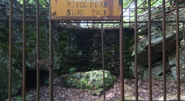 The Spooky Photos Of The Abandoned Hallie’s Zoo In Arkansas Are Nearly Unbearable