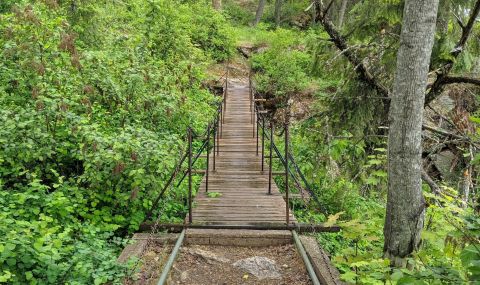 Walk Across A Beautiful Suspension Bridge On The Tubbs Hill Nature Trail In Idaho