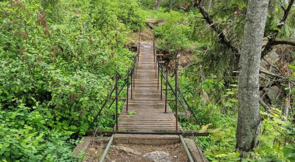 Walk Across A Beautiful Suspension Bridge On The Tubbs Hill Nature Trail In Idaho