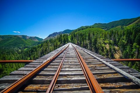 Most People Don’t Know The Story Behind Vance Creek Bridge In Washington