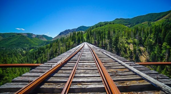 Most People Don’t Know The Story Behind Vance Creek Bridge In Washington