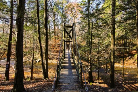 Hike To A Little-Known Suspension Bridge At Black Creek Preserve In New York