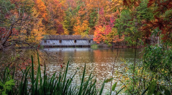 The 8 Best Places In Alabama To Experience Beautiful Autumn Colors