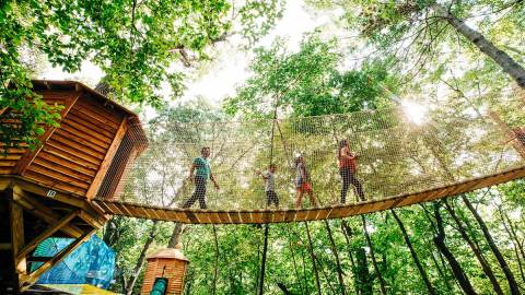 The Canopy Walkway At Arbor Day Farm Takes You High Above The Nebraska Trees