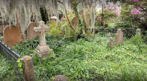 The Unitarian Church Cemetery In Charleston Is One Of South Carolina's Spookiest Cemeteries