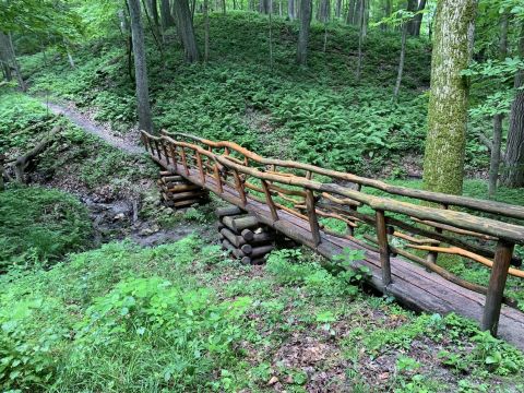 You Could Spend Hours Exploring Palisades-Kepler State Park In Iowa And Still Not See It All