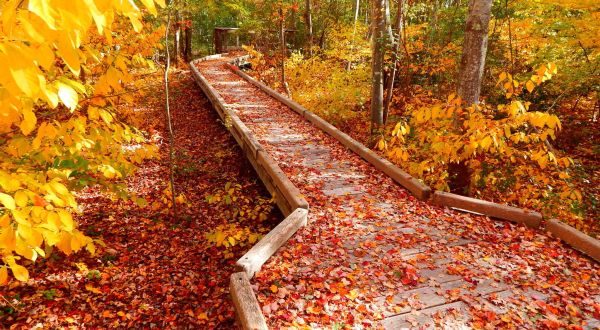 Little Compton Is One Of Rhode Island’s Most Picturesque Small Towns To Visit Each Autumn