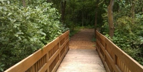 The Beautiful OPPD Arboretum Is An Easy 1-Mile Hike In Nebraska That's Great For Beginners And Kids