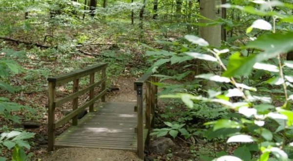 There Are 5 Beautiful Trails Hiding In Delaware’s Alapocas Run State Park