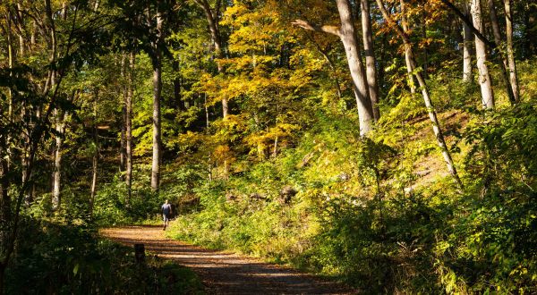 9 Of The Greatest Forest Hiking Trails Near Detroit For Beginners