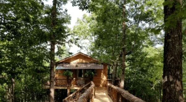 Feel Like You’re Living In The Jungle At This Wild And Beautiful Arkansas Tree House