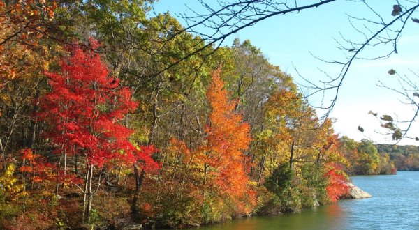 Lincoln Woods State Park Is The Most Peaceful Place To Experience Fall Foliage In Rhode Island