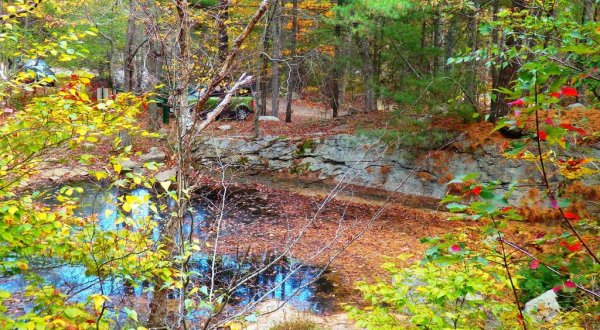 Find Peace At Ravenswood Park, A Colorful Swampy Woodland In Massachusetts