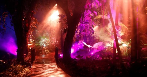 The NightGarden In Florida Is A Magical Wintertime Fairyland Experience