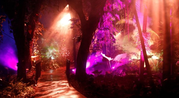 The NightGarden In Florida Is A Magical Wintertime Fairyland Experience