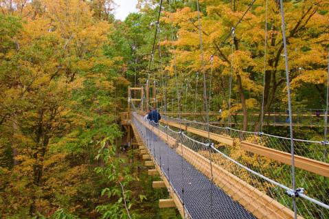 Murch Canopy Tour Near Cleveland Is The Ideal Way To See The Vivid Fall Foliage